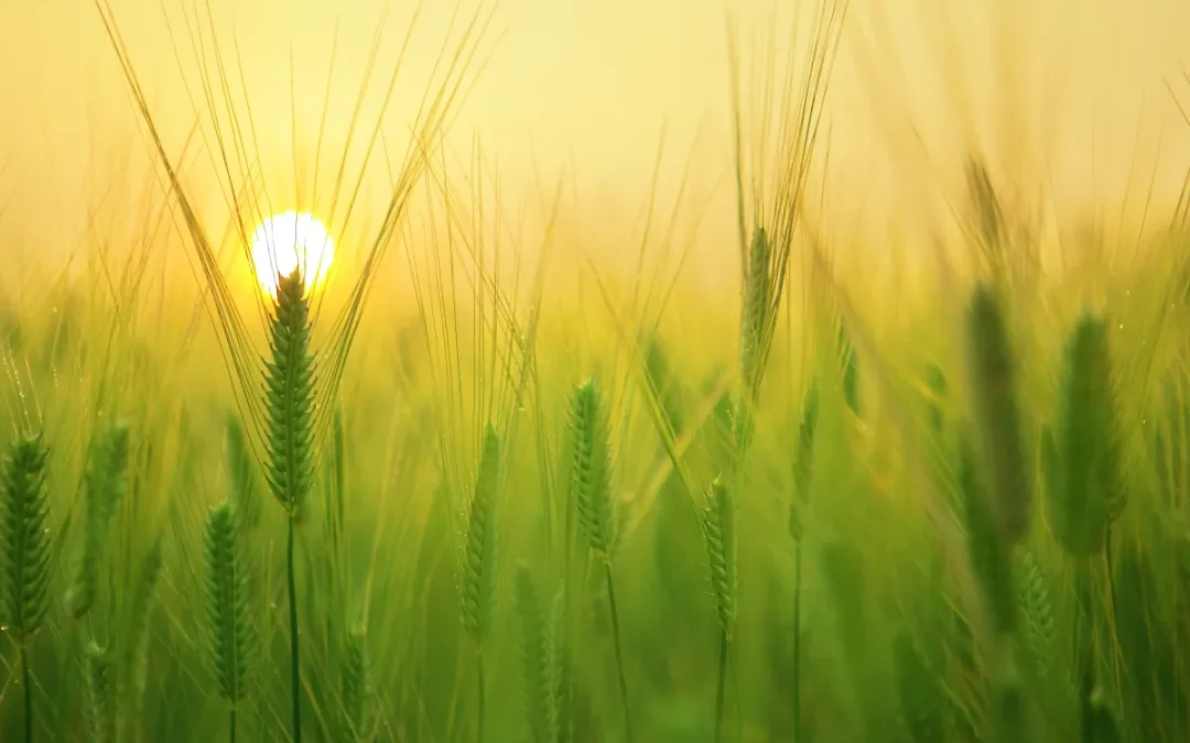 Pest Management Educational Series