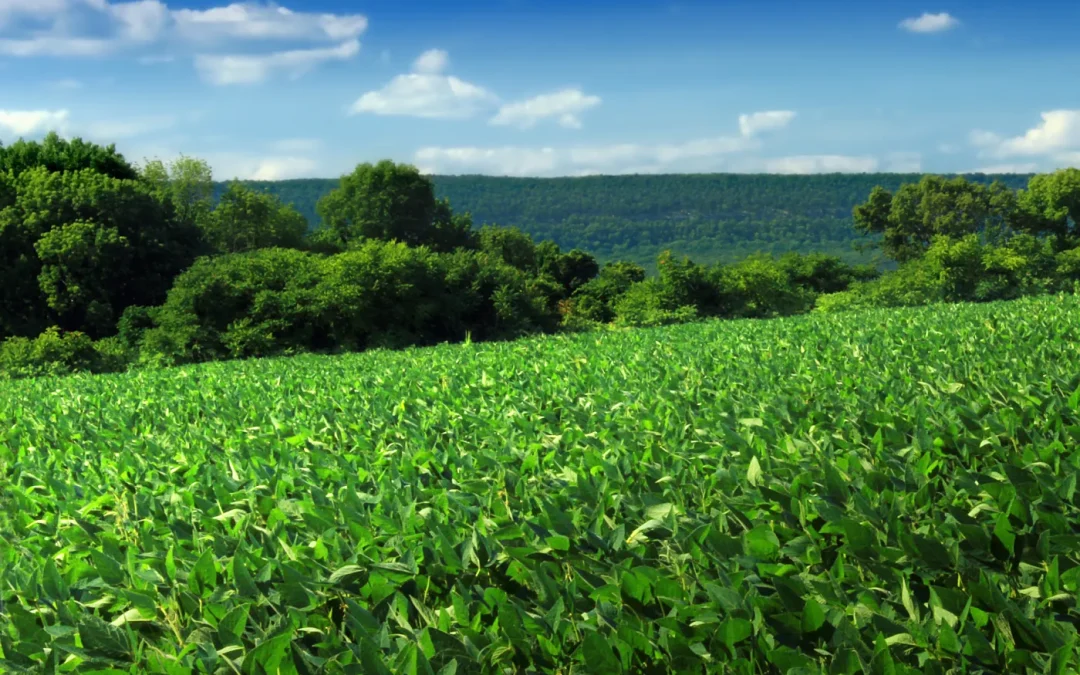 Research and Development of New Crops