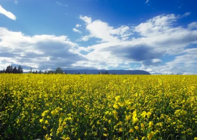 Sustainable Farming Workshops