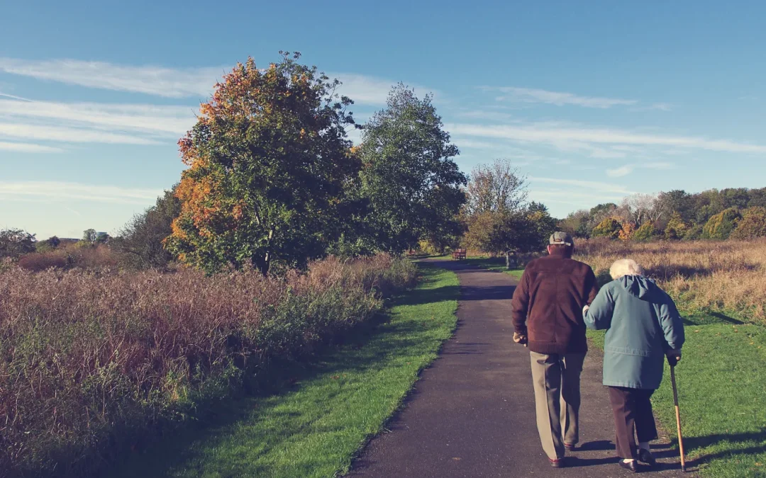 Farm Tours and Educational Visits